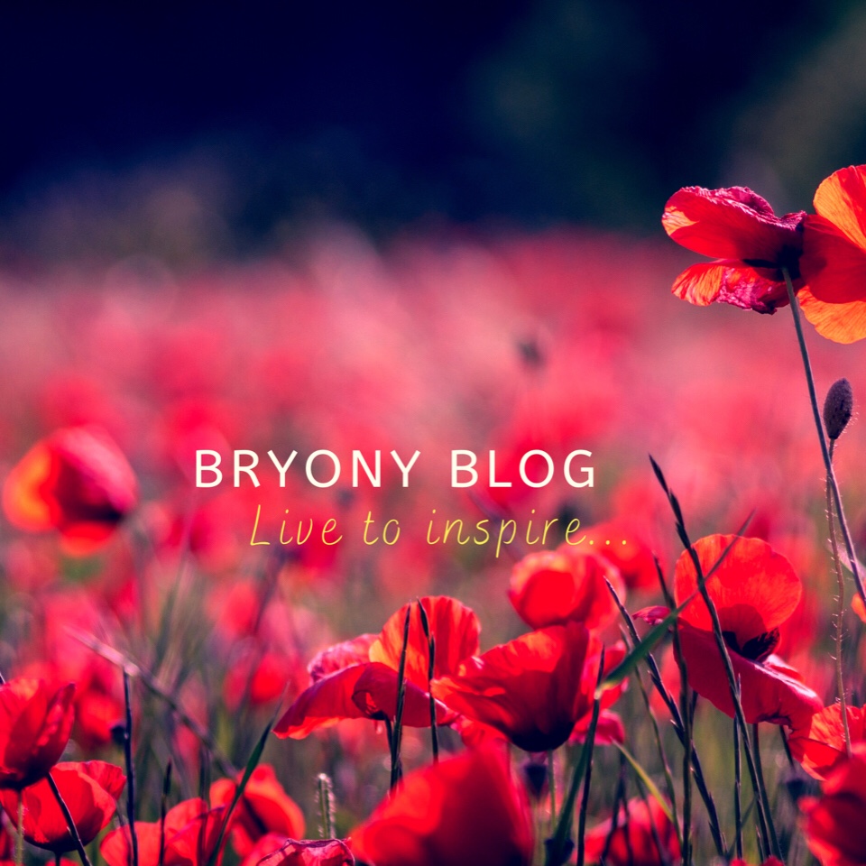Bryonypost blog